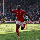 Capitalizing on Chaos How Arsenal Can Learn from Forest